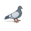 Vogels
