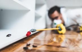 Schädlingsbekämpfer in Arbeitskleidung mit einem Pestizid-Sprühgerät