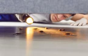 Des insectes rampants sous un lit, éclairés par un homme qui tient une lampe