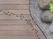Comment se débarrasser des fourmis? | Ilovemygarden