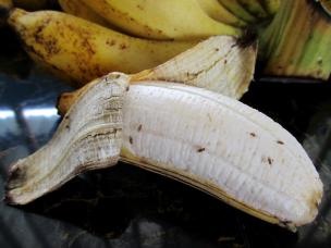 fruitvliegjes op een gepelde banaan