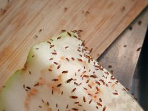 Fruitvliegjes op een stuk appel