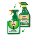 31792_NL_Ameisenspray_4062700831793_AltvsNeu.png