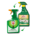 31792_NL_Ameisenspray_4062700831793_AltvsNeu.png