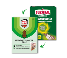 Nexa Lotte® Lebensmittel-Motten Falle main image