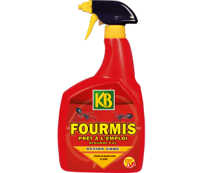 KB fourmis prêt à l'emploi main image