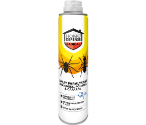 HOME DEFENSE® Spray paralysant insectes rampants main image