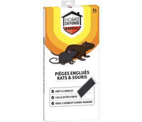 HOME DEFENSE® Pièges à glu rats et souris main image