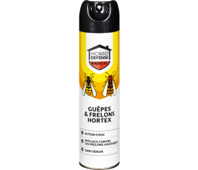 HOME DEFENSE® guêpes et frelons aérosol main image