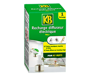 KB recharge diffuseur électrique main image