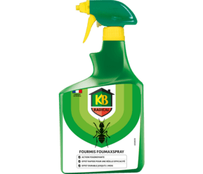 KB Fourmis prêt à l'emploi main image