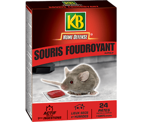 KB Home Defense® Souris foudroyant pâtes main image