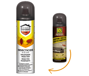 KB Home Defense aérosol Contre Les Insectes Rampants main image