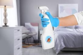 Bettwanzen loswerden mit Insektizid-Spray 